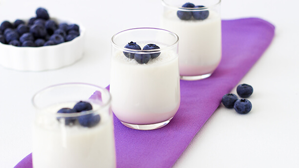 Recette de panna cotta au citron et aux bleuets du Québec en garniture