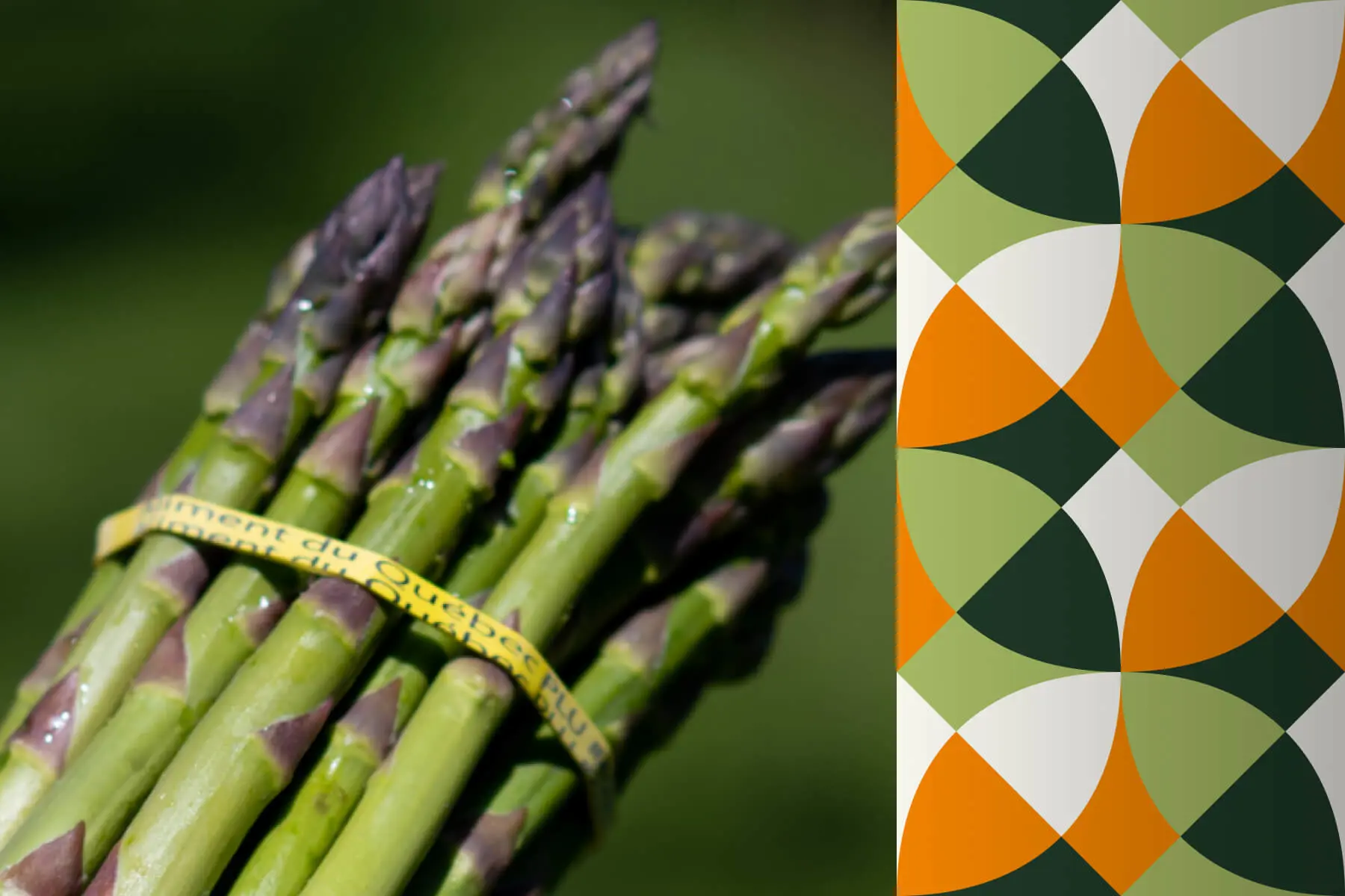 Asparagus parmentier soup