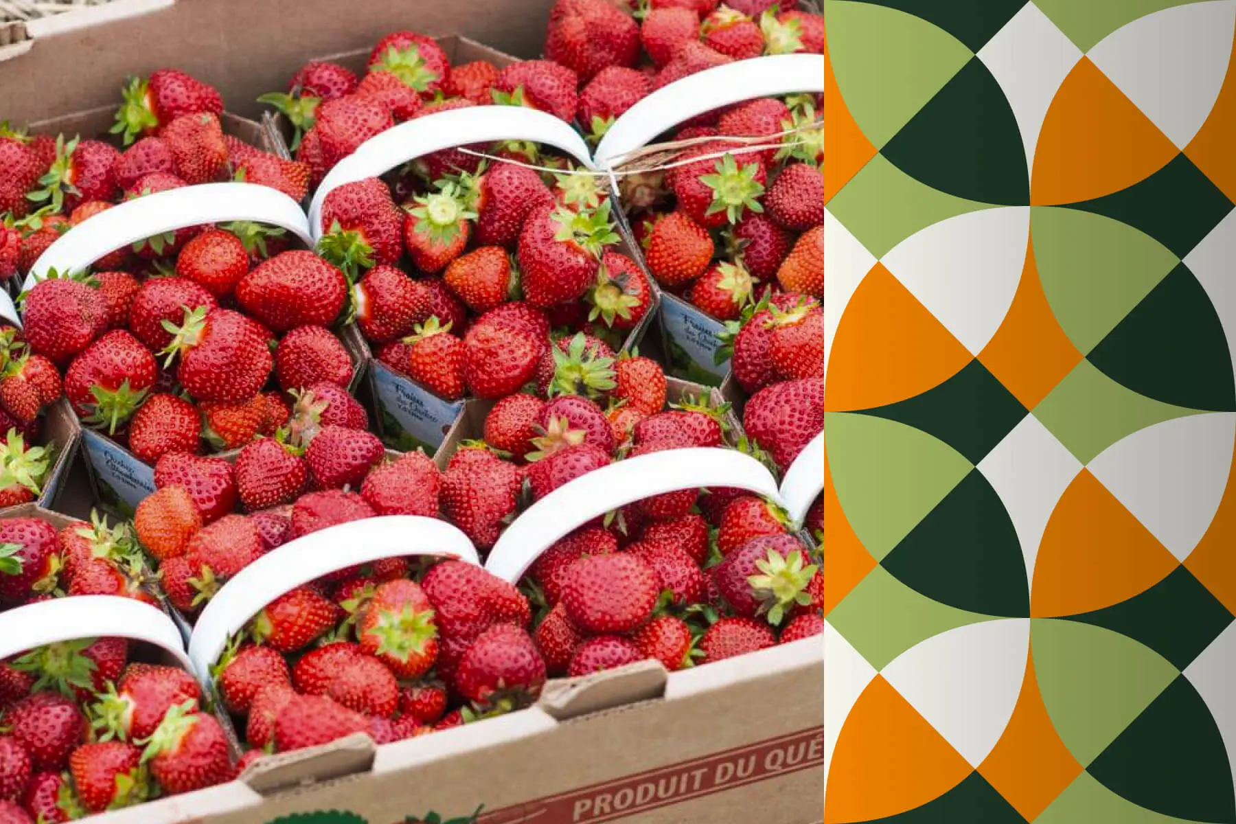 Fruity cups of greek yogurt, chocolate and pistachios