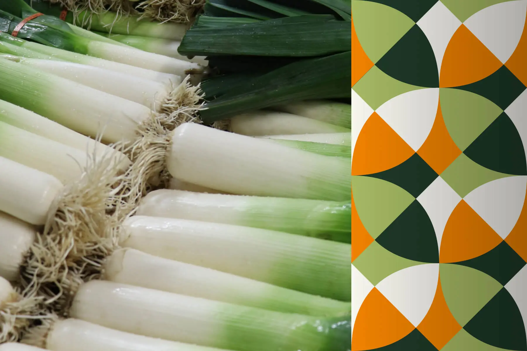 Goat cheese flan with leeks compote