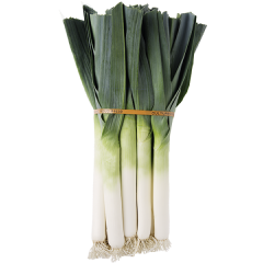 Package of 12 standard leeks