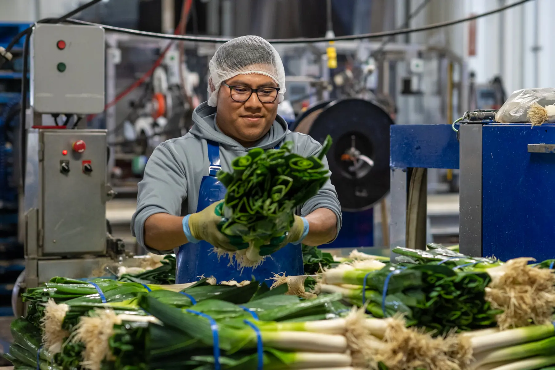 Emploi de journalier agricole