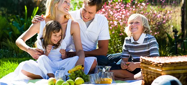 The perfect picnic guide