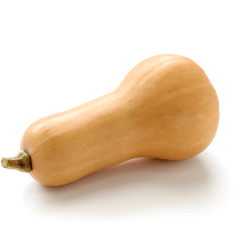 Butternut