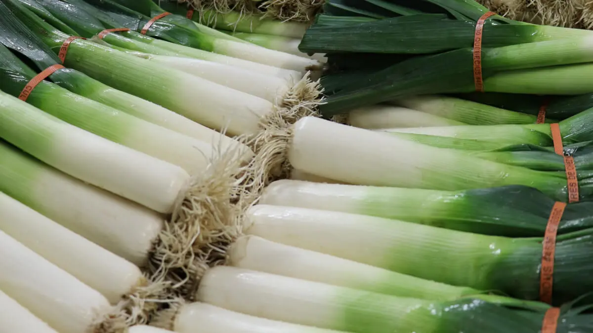 Whole leek