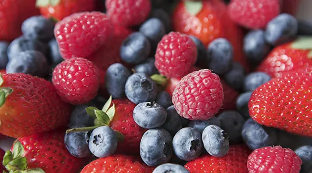 Idées à bannir sur les petits fruits