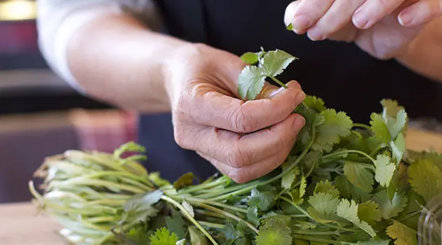 Consult your internal nutritionist