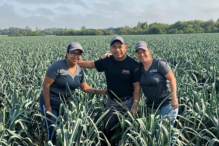 Équipe dans un champ de poireaux chez Les Cultures de chez nous