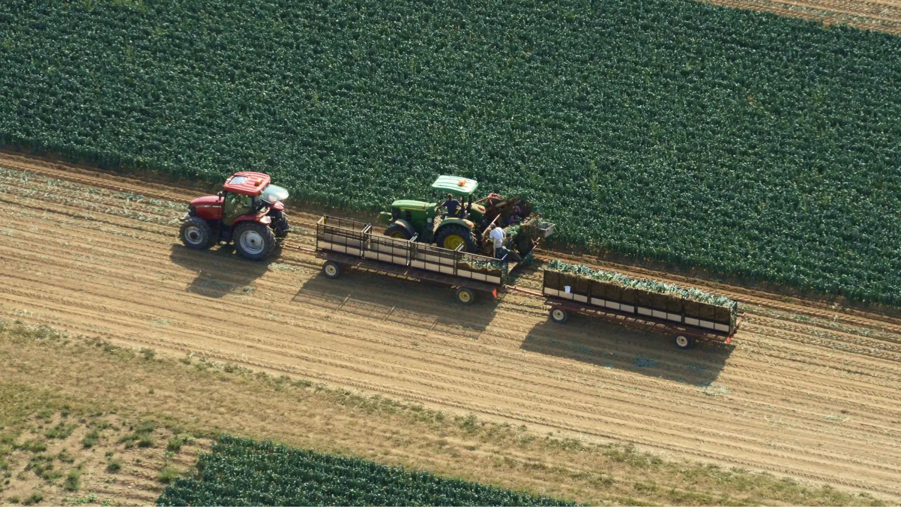 Nos installations à la ferme