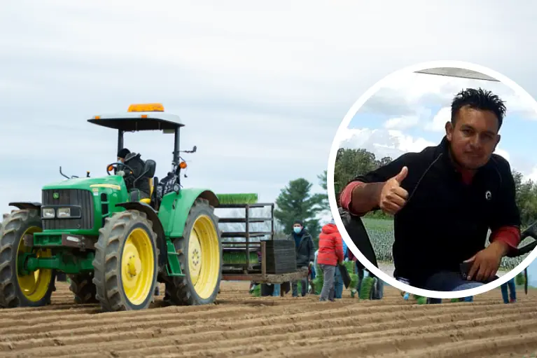 Interview with Gaspar, foreign worker at Les Cultures de chez nous