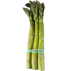 Tips of asparagus size #4, 15 cm (6 in.) long, in boxes of 20 lb (9.07 kg)