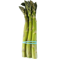 Pointes d’asperges format n° 4 de 15 cm (6 po) de longueur en boîtes de 20 lb (9,07 kg)