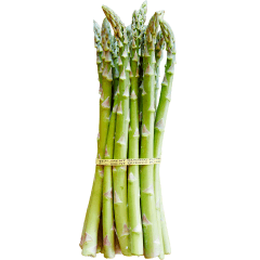 Asparagus size #1, in boxes of 20 lb (9.07 kg) or in boxes of 28 lb (12.7 kg)