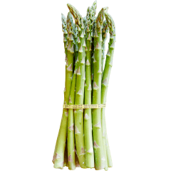 Asperges format n° 1 en boîtes de 20 lb (9,07 kg) ou en boîtes de 28 lb (12,7 kg)