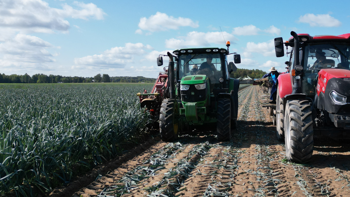 Notre histoire : une passion qui pousse depuis 1981