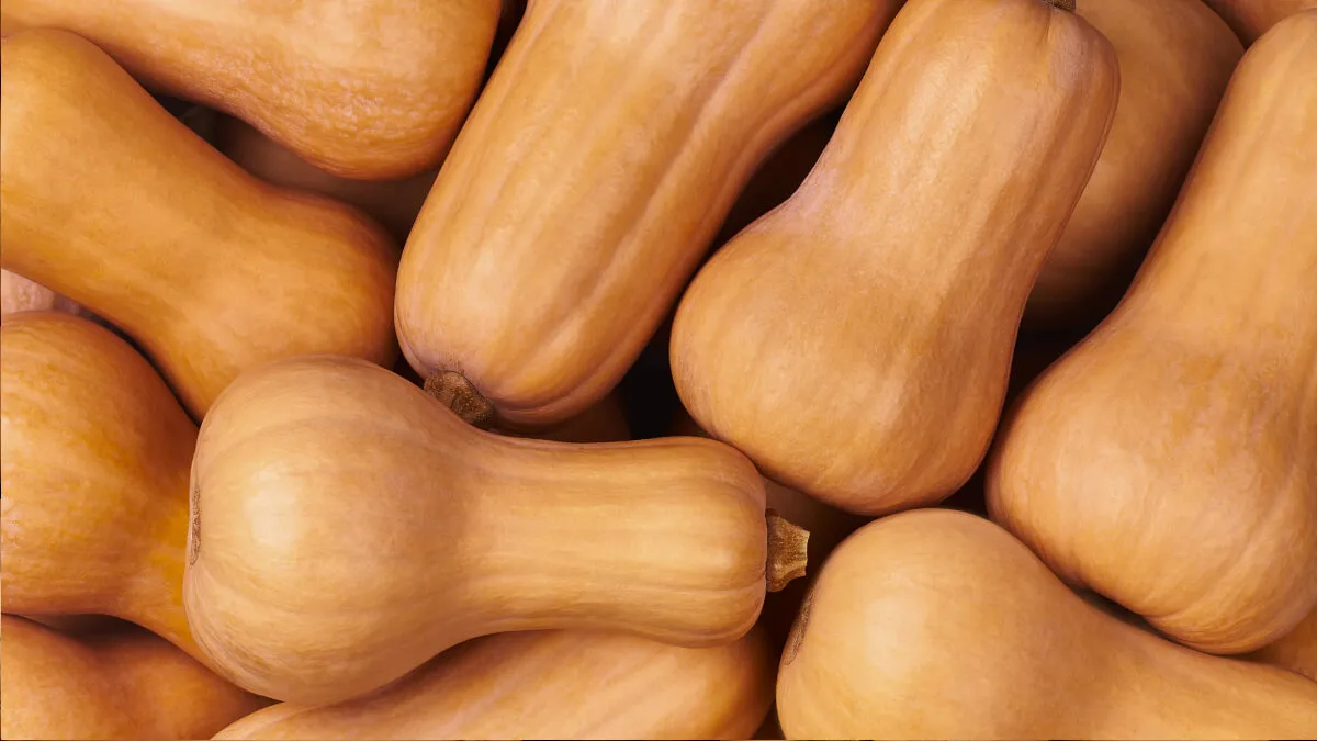 Nos courges