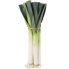 Box of 12 leeks | 4 packs per box