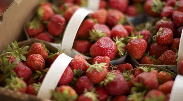 Unbolt myths and restore facts about breakfast