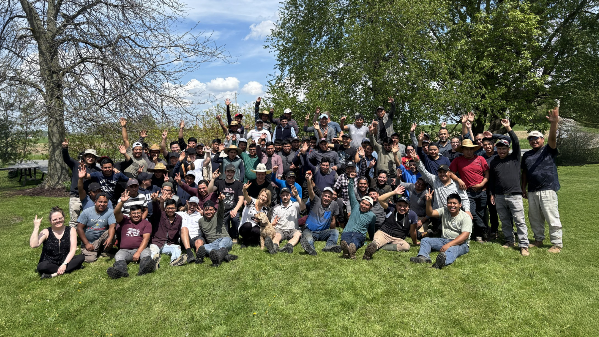 Careers at Les Cultures de chez nous