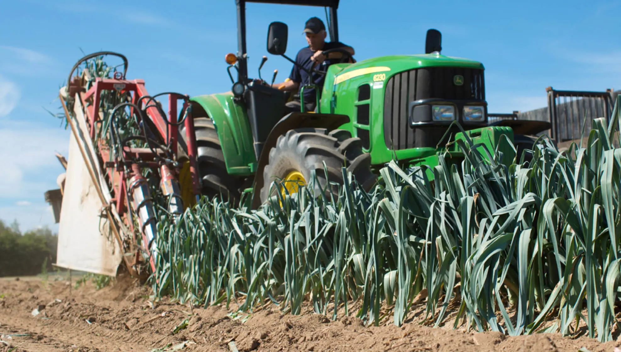 Les Cultures de chez nous: family vegetable farm